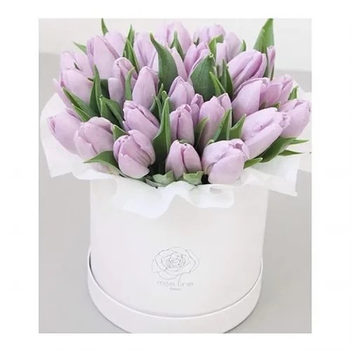20pc Purple Tulip With Box