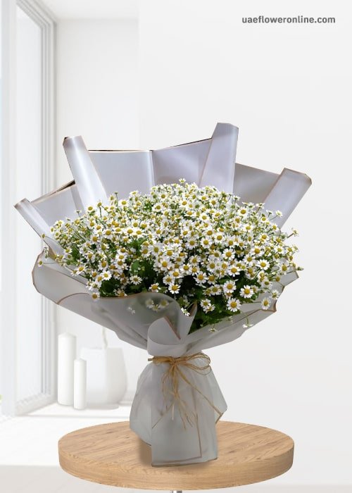 Aster Flowers 10 Stem Bouquet With White Wrapping