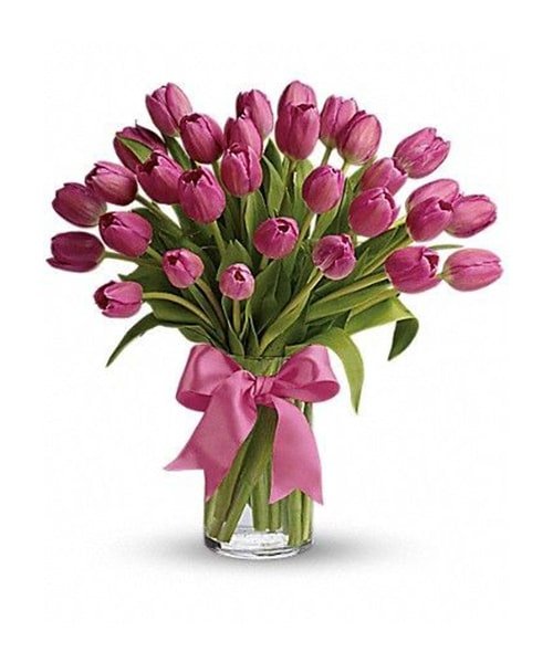 25 Stem Tulip Pink With Glass Vase
