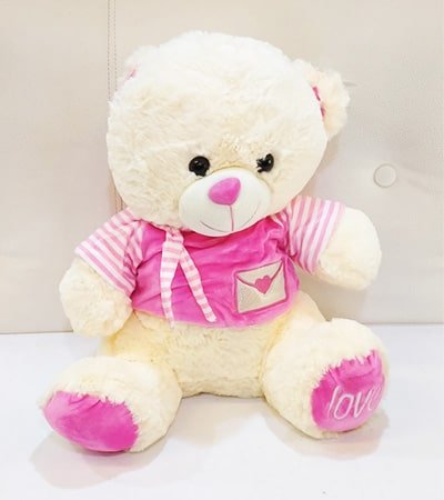 Nice Soft Teddy Bear