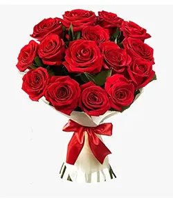 DELIGHTFUL 15 RED ROSE BOUQUET