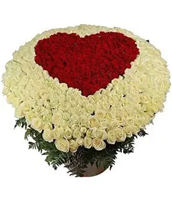 200 RED AND WHITE ROSES HEART ...